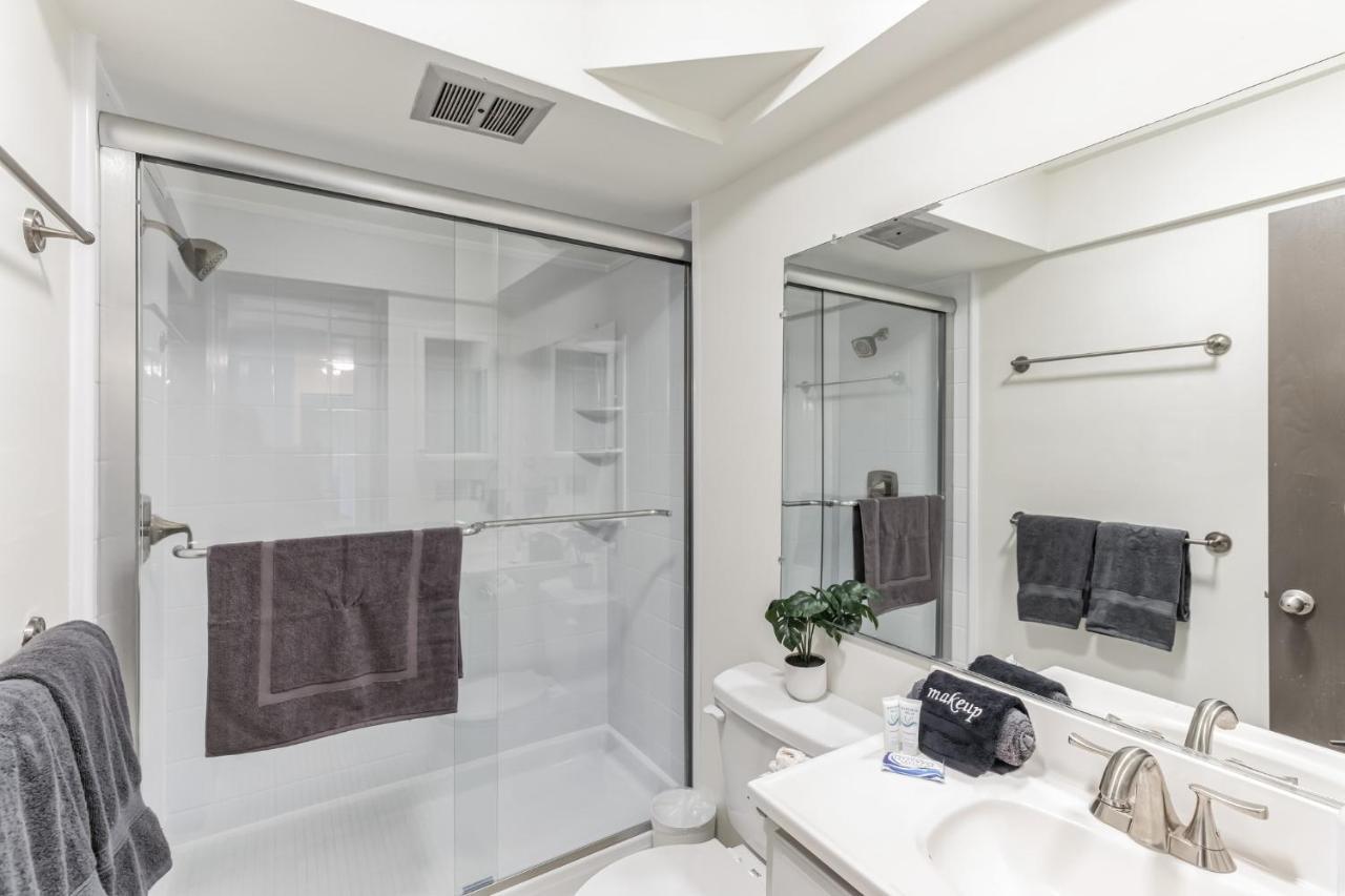 1br 1ba Near U Of M And Downtown Apartment *